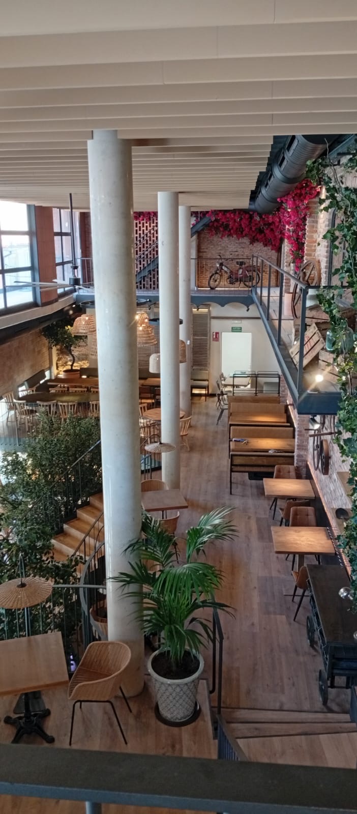 Interior de Cal Clàssic Calella a dues altures, amb taules de fusta, parets de maó vist, plantes i una bicicleta decorativa sota la buguenvíl·lea